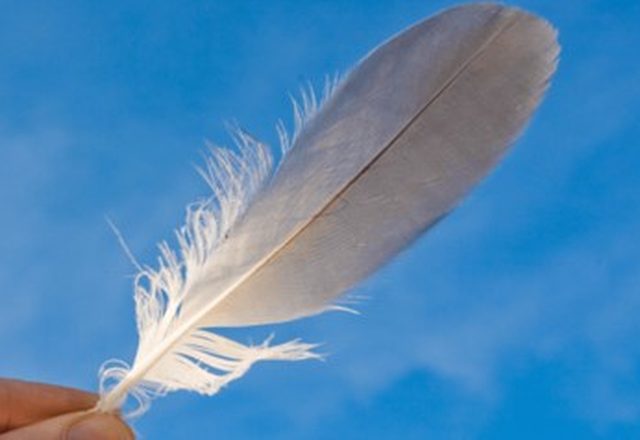 A feather drifting